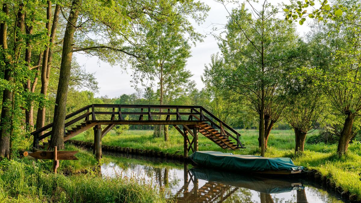 Spreewald – Raum zum Denken